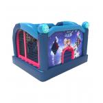 Disneyland Inflatable Princess Jumping Castle For Childre Park for sale