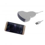 240mm Depth B/W Convex 3.5Mhz USB Ultrasound Probe for sale