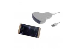 China 240mm Depth B/W Convex 3.5Mhz USB Ultrasound Probe supplier
