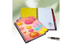 China Custom 3D Lenticular Printing Card Lenticular Plastic Sheet Lenticular Printing Books supplier