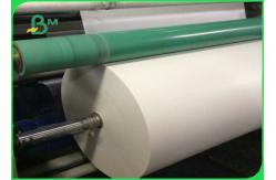 China Biodegradable Single PE Laminated Coated Paper Jumbo Roll For Food Wrapping Paper supplier