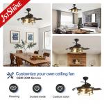 42 inches Invisible Blade Ceiling Fan  Farmhouse Style With Light