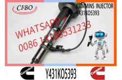 China Fuel Injector Assembly 2867147 2882077 4955524 Y431KO5393 2882078For Qsk19 Engine supplier