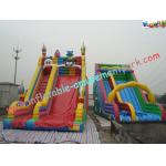 Customized Clown  Rent Inflatable Slide , Inflatable Dry Slides for sale