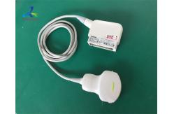 China 6.0MHz Convex Array Ultrasound Transducer Probe Toshiba PVU-375BT supplier