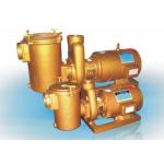 Brass 3HP Swimming Pool Water Pumps for sale