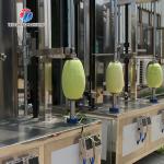 Dual Ended Pawpaw Fruit And Vegetable Peeler Machine Vertical 2 Cutter