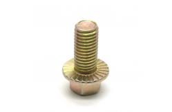 China Custom Standard Round Head Hex Socket Bolts Hex Flange Bolts supplier