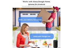 China Wifi Garage Monitor Camera Mini Garage Door Camera Night Vision supplier