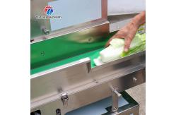 China 180KG Multifunctional vegetable cutting machine commercial leaf vegetable root slicing and sectioning machine supplier