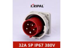 China 32A 5P Waterproof Industrial Plugs 380V IP67 Electrical Power Panel Mounted supplier