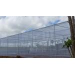 Rectangle Greenhouse with Full Ventilation and Temperature Control - High Grade Steel Frame for sale