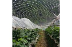 China 2.5cm Anti Bird Net For Fruits And Vegetables Protection supplier