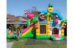 China Customized Unicorn Jumping House Inflatable Bouncer Slide supplier
