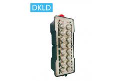 China 16-way switch industrial remote control DH-Z16F supplier