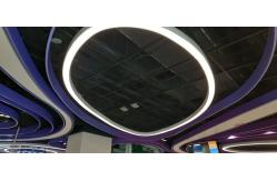 China Irregular Figure Type Led Ring Ceiling Lights 260W Circle Led Hanging Light supplier
