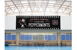 China 100% Polyester Fence Banner Screen Printed Single Sided Or Double Sided supplier