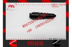 China Fuel Injector 1521978 570016 4954646 4076963 For Scania supplier