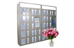 China Smart 24 Hours Egg Vending Lockers Machine Formal Self Service Vegetable supplier