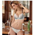 Sponge Free Ladies Underwear Sets Transparent Sexy Lace Bra Set Female for sale