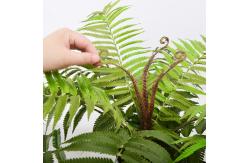 China Customized Large Artificial Fern Branches Decoration Bonsai Plants supplier