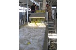 China SUS304 10TPH Fruit Vegetable Washing Machine Stepless Shift supplier