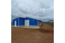 China Fireproof Steel Structure Poultry House Automated Ventilation Steel Frame Chicken Coop supplier