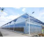 Custom Plastic Multi Span Greenhouse For Optimal Crop Growth And Efficiency