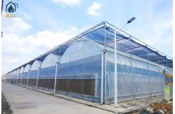 China Custom Plastic Multi Span Greenhouse For Optimal Crop Growth And Efficiency supplier