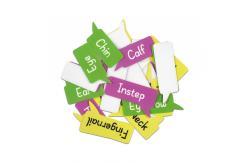 China Removable Body Learning Custom Dry Erase Poster Board 48x36 With Magic Stickers supplier