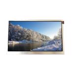HT116WXB-100 11.6 inch 1366*768 LCD Screen Panel for sale