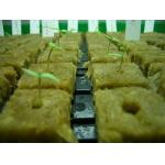 Agriculture Hydroponic Rockwool Cubes for sale