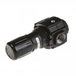 Excelon general purpose pressure regulator R74G-6GK-RMN,0.3-10 bar,without gauge for sale