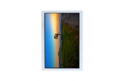 China 10.1 inch 1200*1920 TV101WUM-LM0 LCD Screen supplier