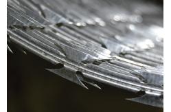 China Galvanized Barbed Wire Security Guard Stainless Steel Wire Razor Wire supplier