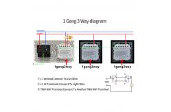 China EU Standard Dual Light Switch With Red/Blue Indicator Light supplier