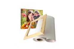 China Pigment Printing 280gsm Polyester Canvas Roll supplier