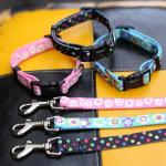 Fashionable Nylon Buckle Dog Collar S M L Breakaway Cat Collars Customized