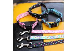 China Fashionable Nylon Buckle Dog Collar S M L Breakaway Cat Collars Customized supplier