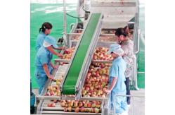 China Industrial Apple Processing Line Fruit Juice Making Machine 1000ml supplier