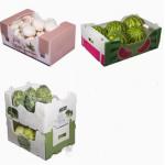 Vegetables Fruit Packaging Boxes Corrugated Plastic Static Protective