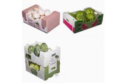 China Vegetables Fruit Packaging Boxes Corrugated Plastic Static Protective supplier