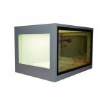21.5 Inch Transparent LCD Screen Custom Accepted See Through LCD Display for sale