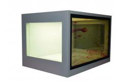 China 21.5 Inch Transparent LCD Screen Custom Accepted See Through LCD Display supplier