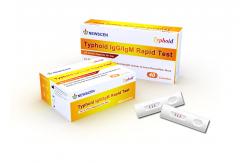 China Colloidal Gold ISO Whole Blood Typhoid IgG IgM Rapid Test supplier