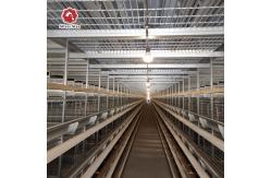 China Customized Multi Layer Poultry Cage Automatic Egg Collection Cages supplier