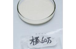 China Papaya Protease 300USP-6000USP Powder Like Fully Soluble In Water Customized Food Grade supplier