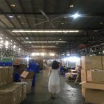 7.3m 24FT Big Industrial Ceiling for AC Electric Current Type DX-7.3 From Warehouse Air Cooling and Ventilation for sale