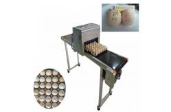 China Green and efficient egg Jet Coding Machine , industrial continuous inkjet printers  supplier