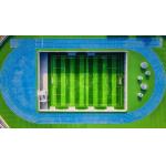 Good Resilient Eco Sports Flooring Jogging Track Flooring Colorful Track Athletic Center for sale